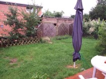 2007_0701neu0012