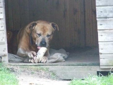 2008_05240278